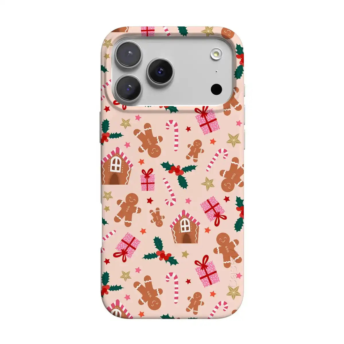 Frosted Wishes | Sweet Treat Case