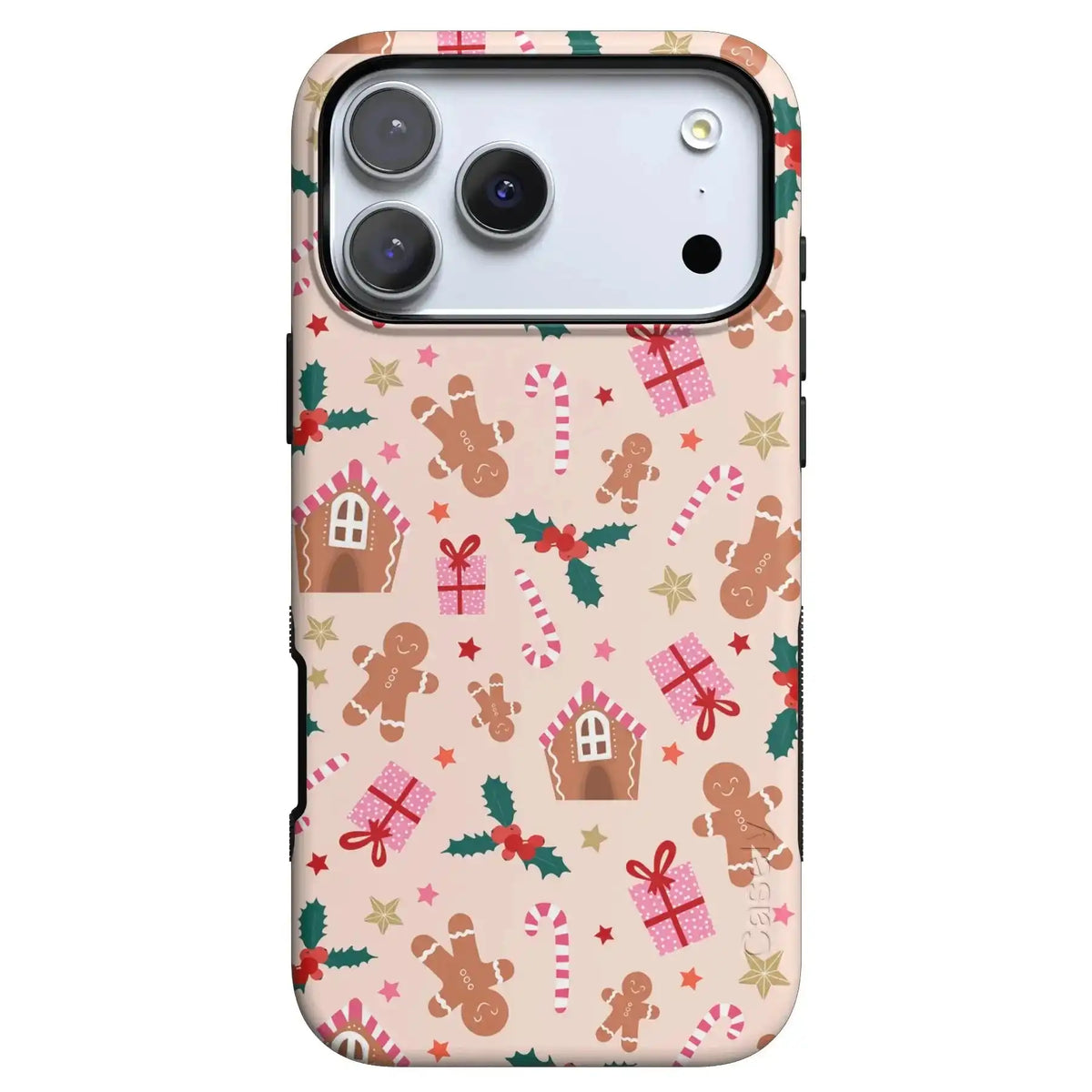 Frosted Wishes | Sweet Treat Case