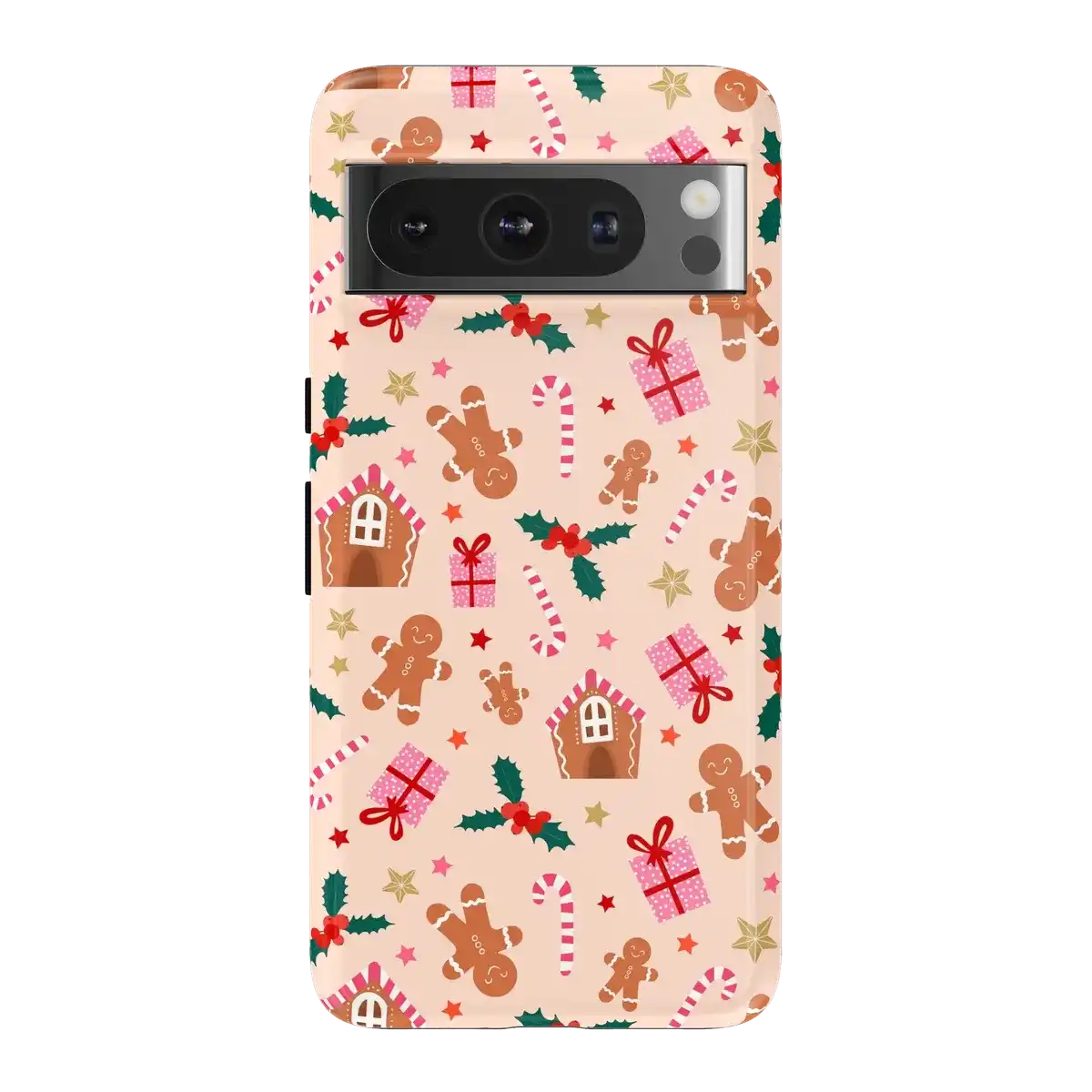 Frosted Wishes | Sweet Treat Case