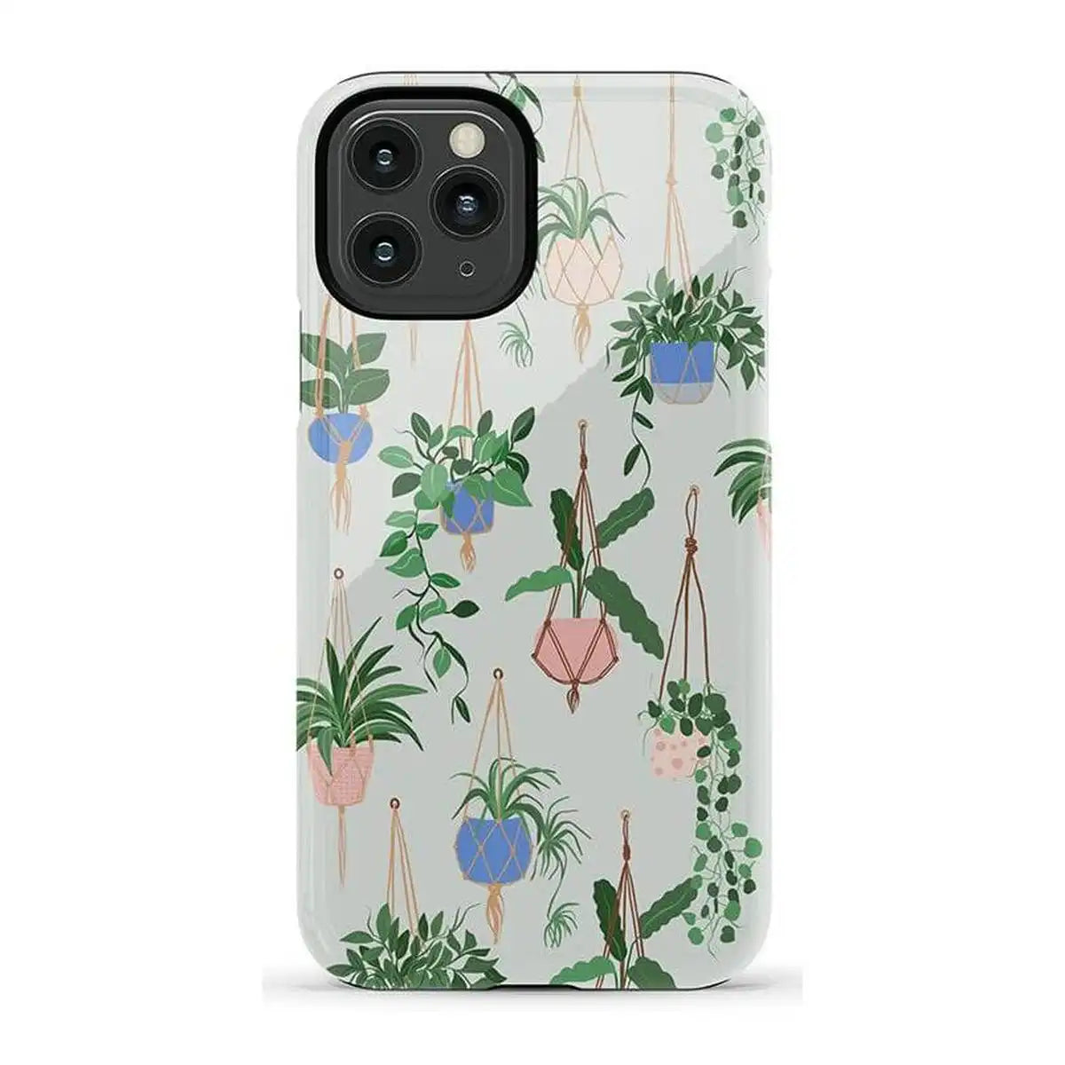 Hanging Around | Potted Plants Floral Case