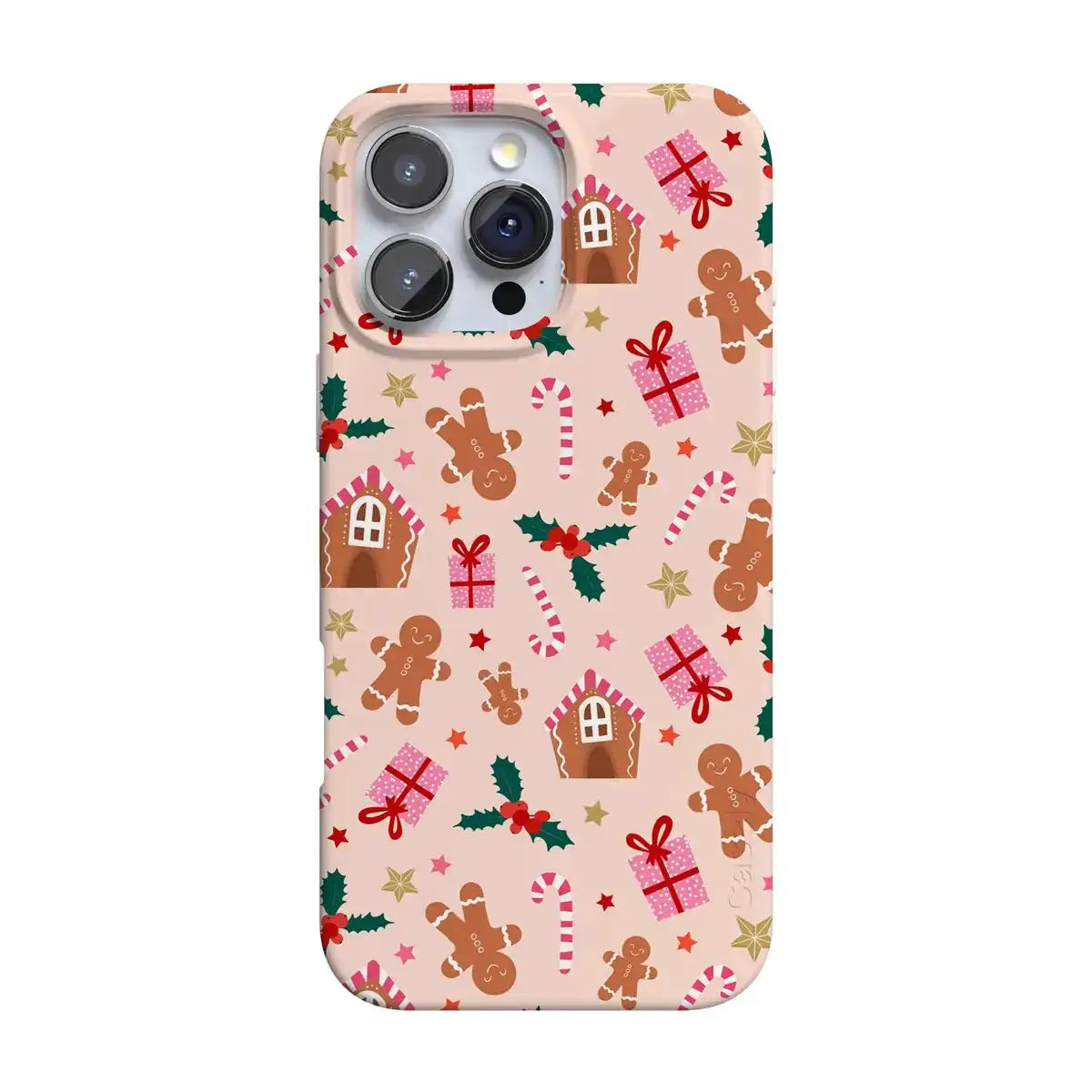 Frosted Wishes | Sweet Treat Case
