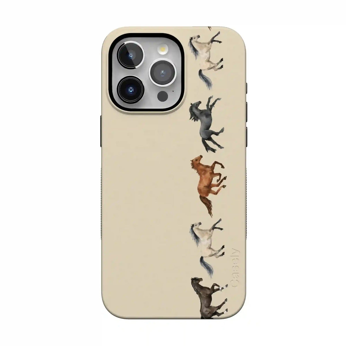 Stallion Stampede | Wild Horses Case