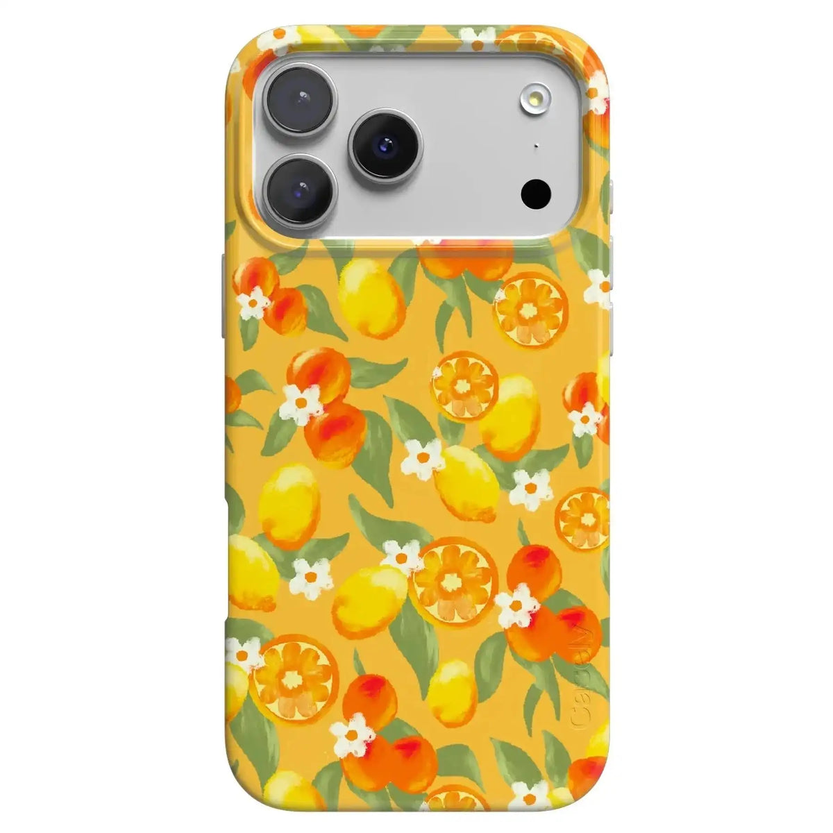 Positano | Dippin' Daisy's Italian Coast Case