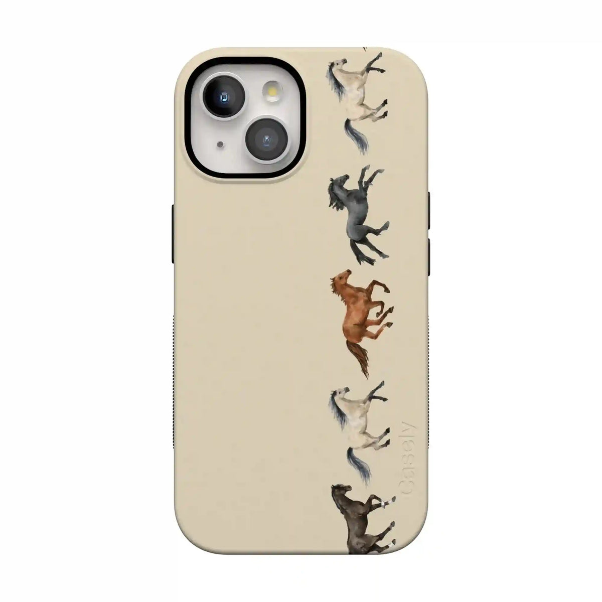 Stallion Stampede | Wild Horses Case