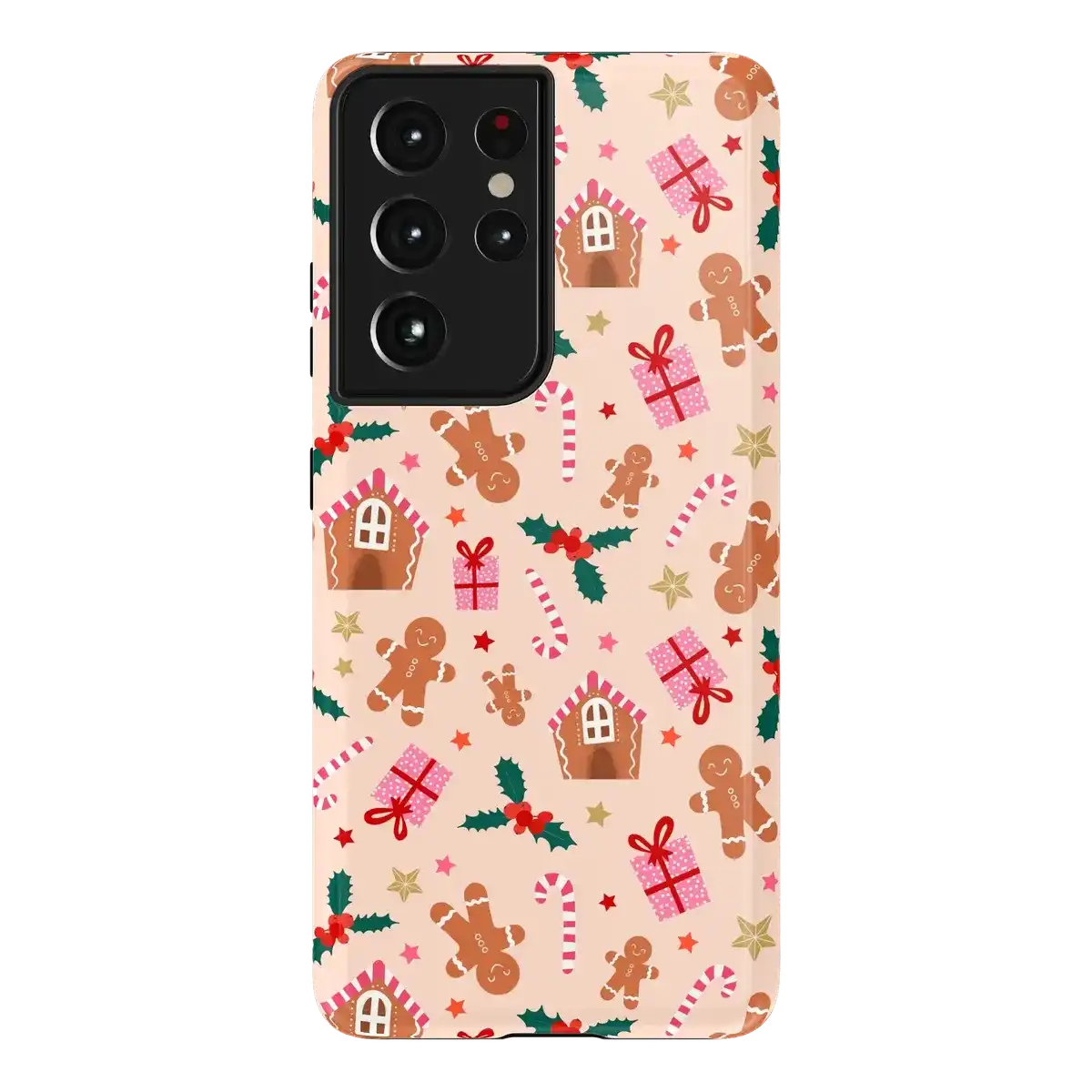 Frosted Wishes | Sweet Treat Case