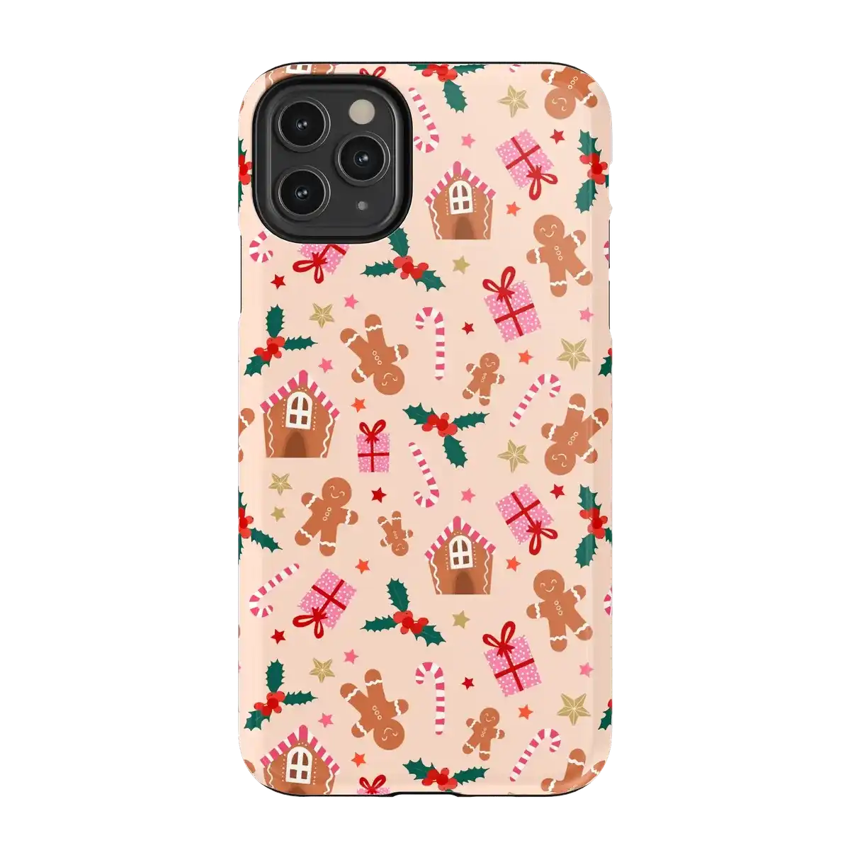 Frosted Wishes | Sweet Treat Case