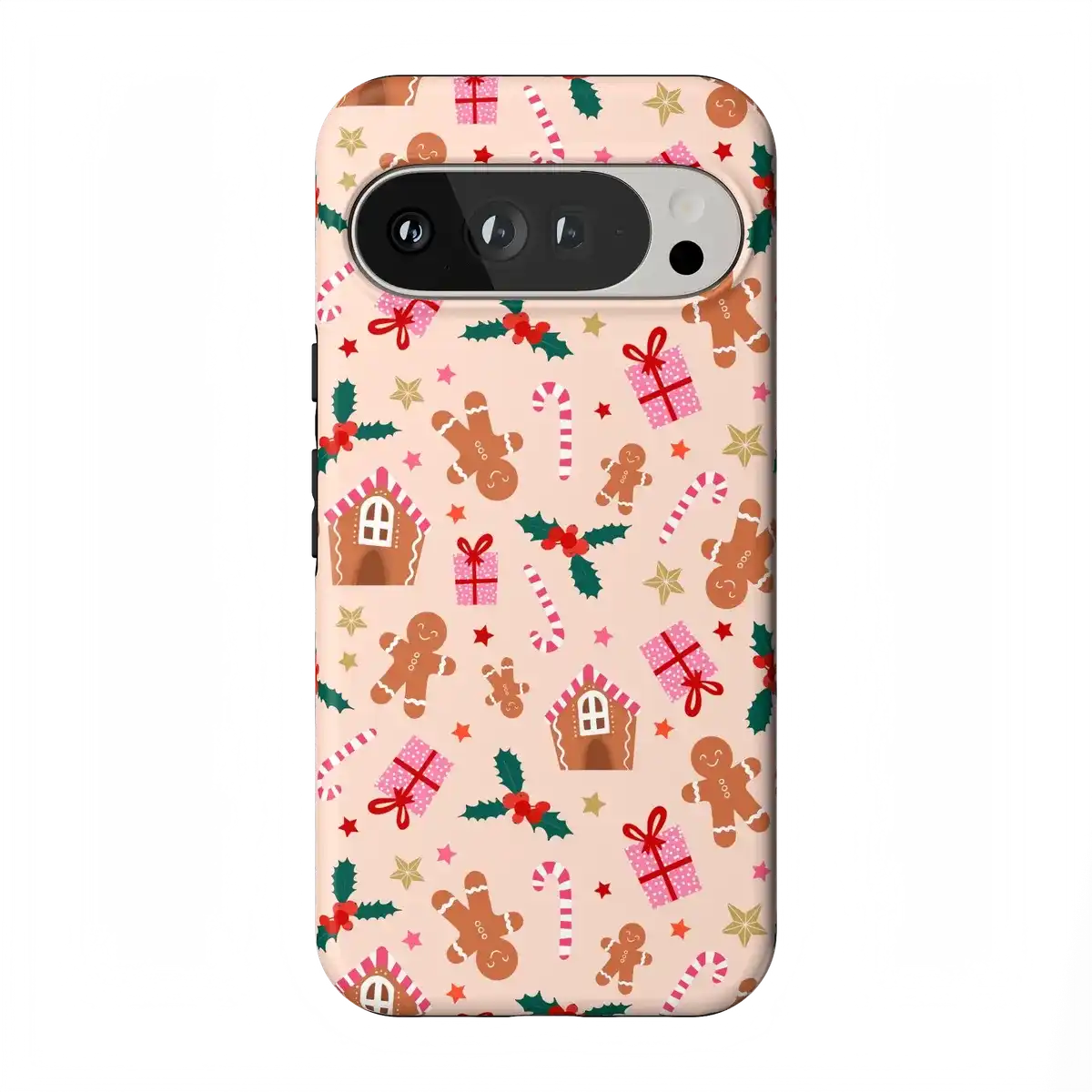 Frosted Wishes | Sweet Treat Case