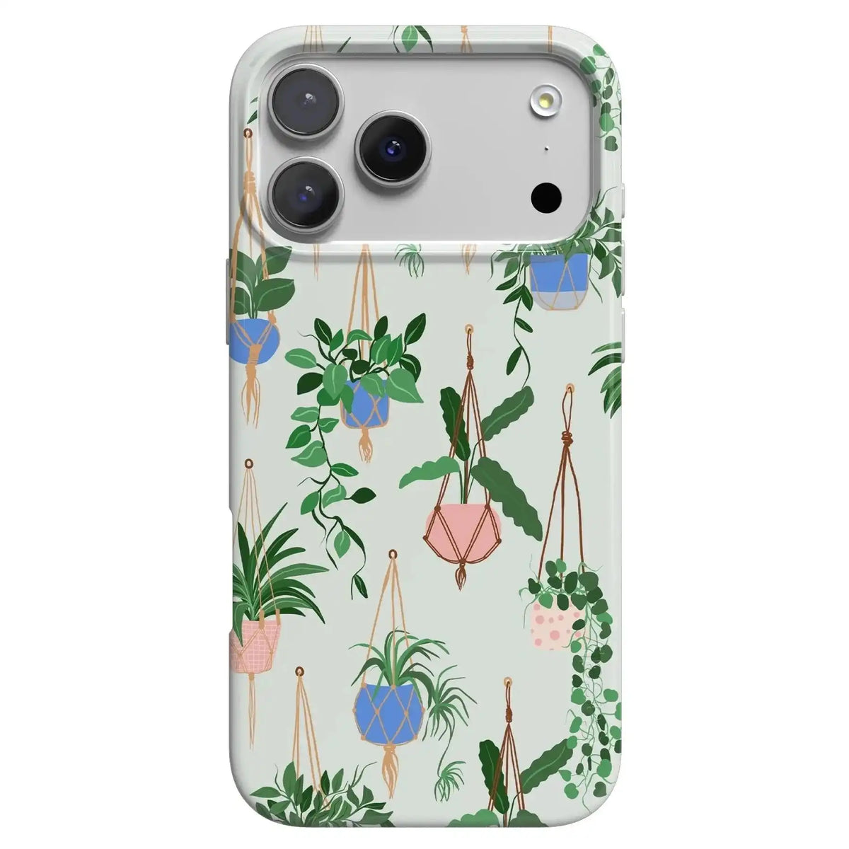 Hanging Around | Potted Plants Floral Case