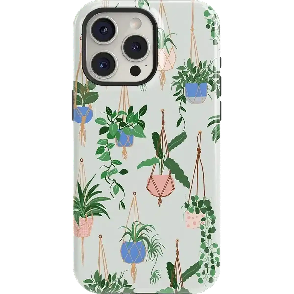 Hanging Around | Potted Plants Floral Case