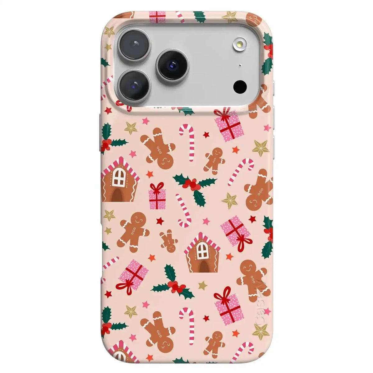 Frosted Wishes | Sweet Treat Case