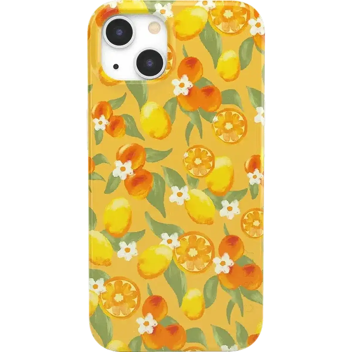 Positano | Dippin' Daisy's Italian Coast Case