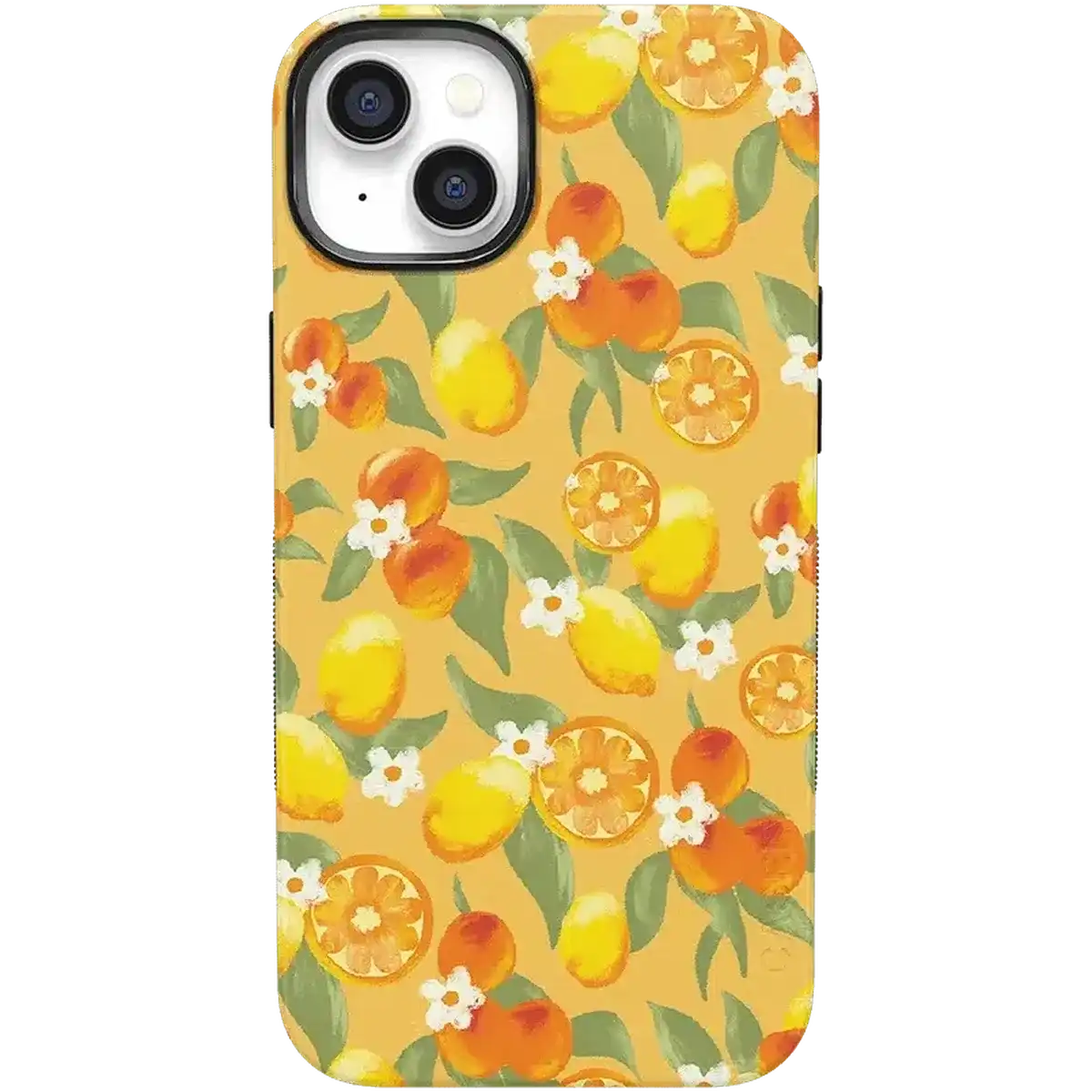 Positano | Dippin' Daisy's Italian Coast Case